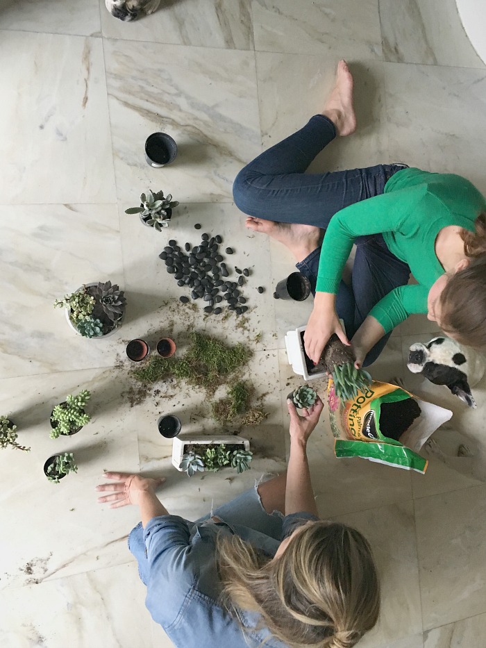 two kids planting Succulents Mothers day gift
