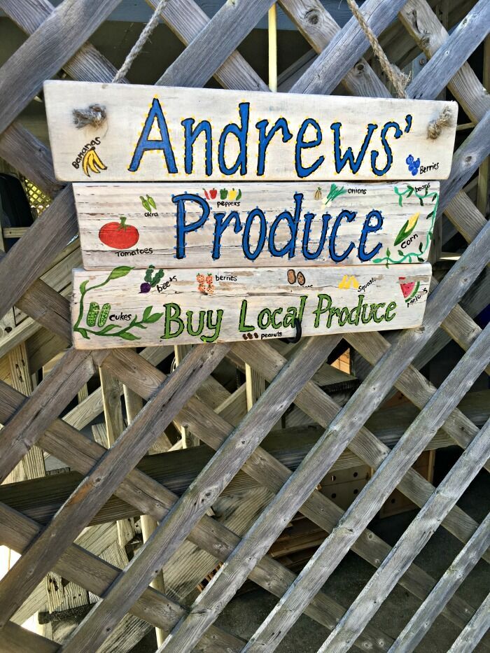 Vacation in Topsail Island