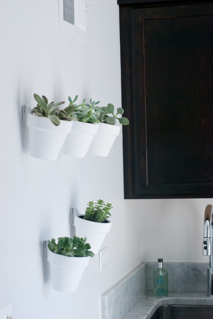 DIY Terra-Cotta Pots with Succulents