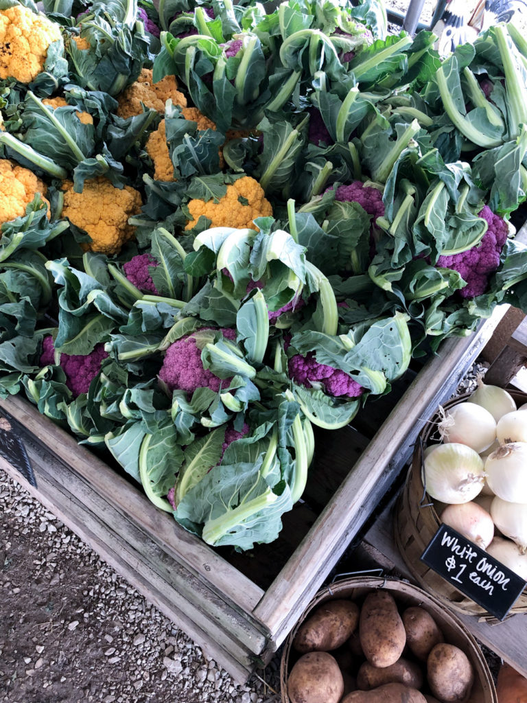 Easy Fall Food Recipes