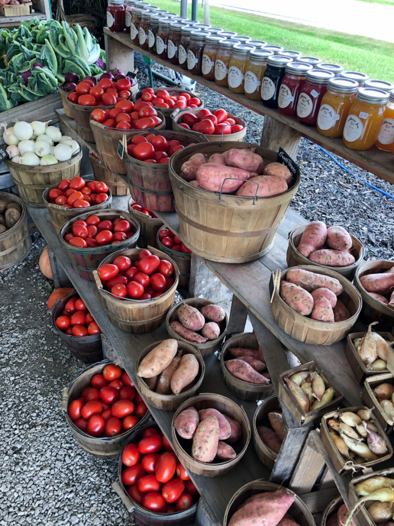 crops for Easy Fall Food Recipes